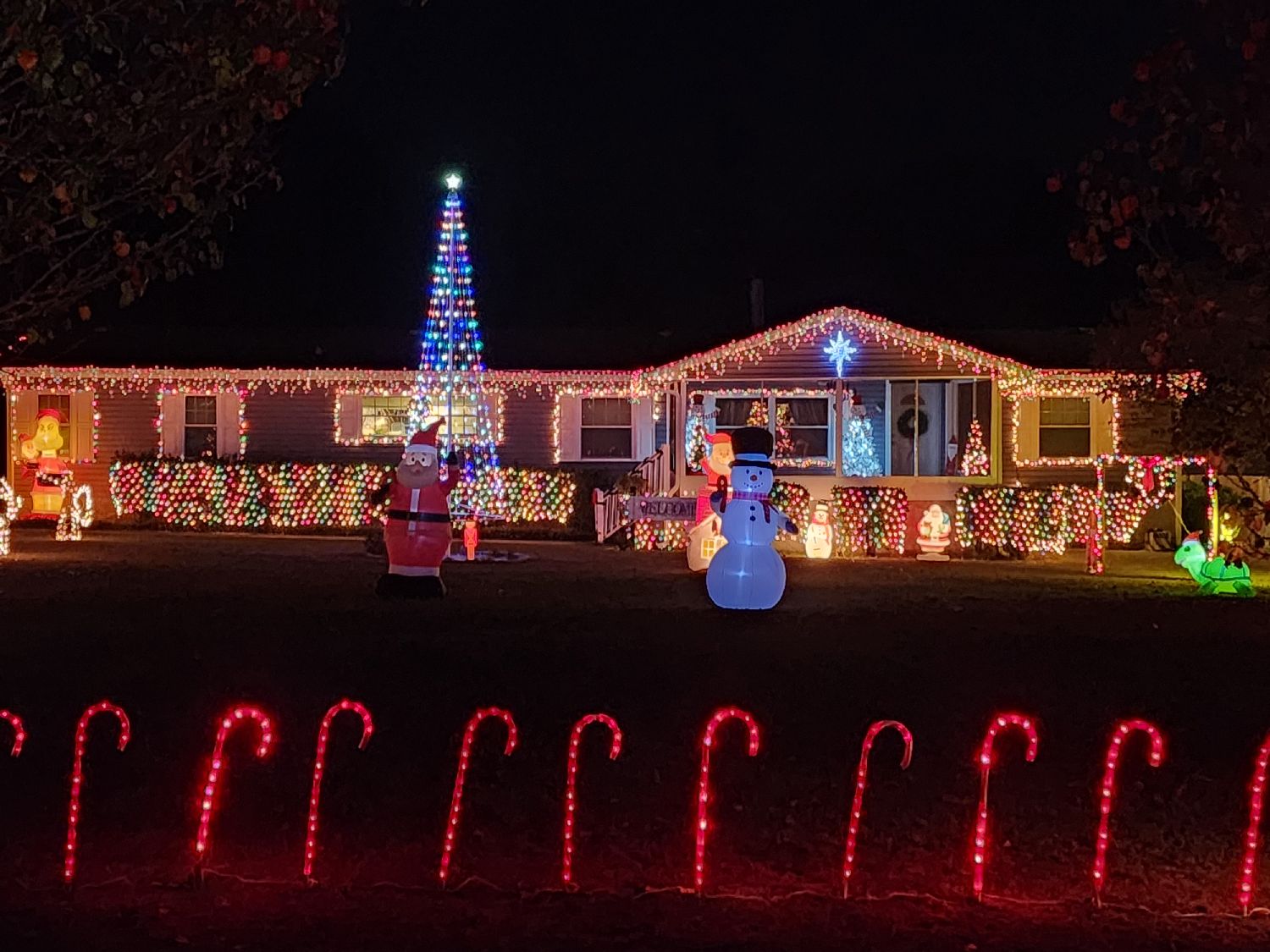 Papa and Mimi's, Christmas lights in Macon, GA (photo 1)