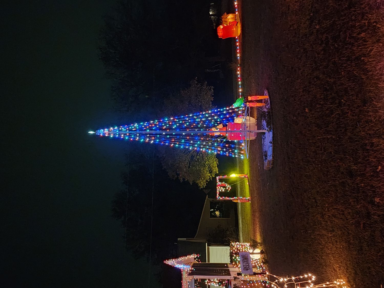 Papa and Mimi's, Christmas lights in Macon, GA (photo 4)
