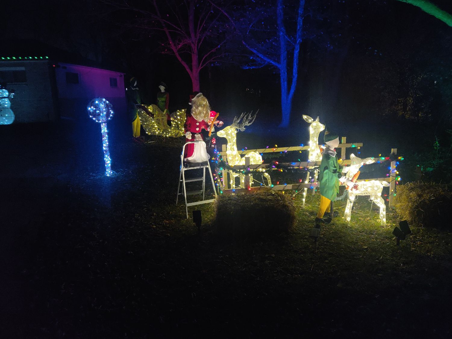 Blueberry Lane, Christmas lights in Hoffman Estates, IL (photo 1)