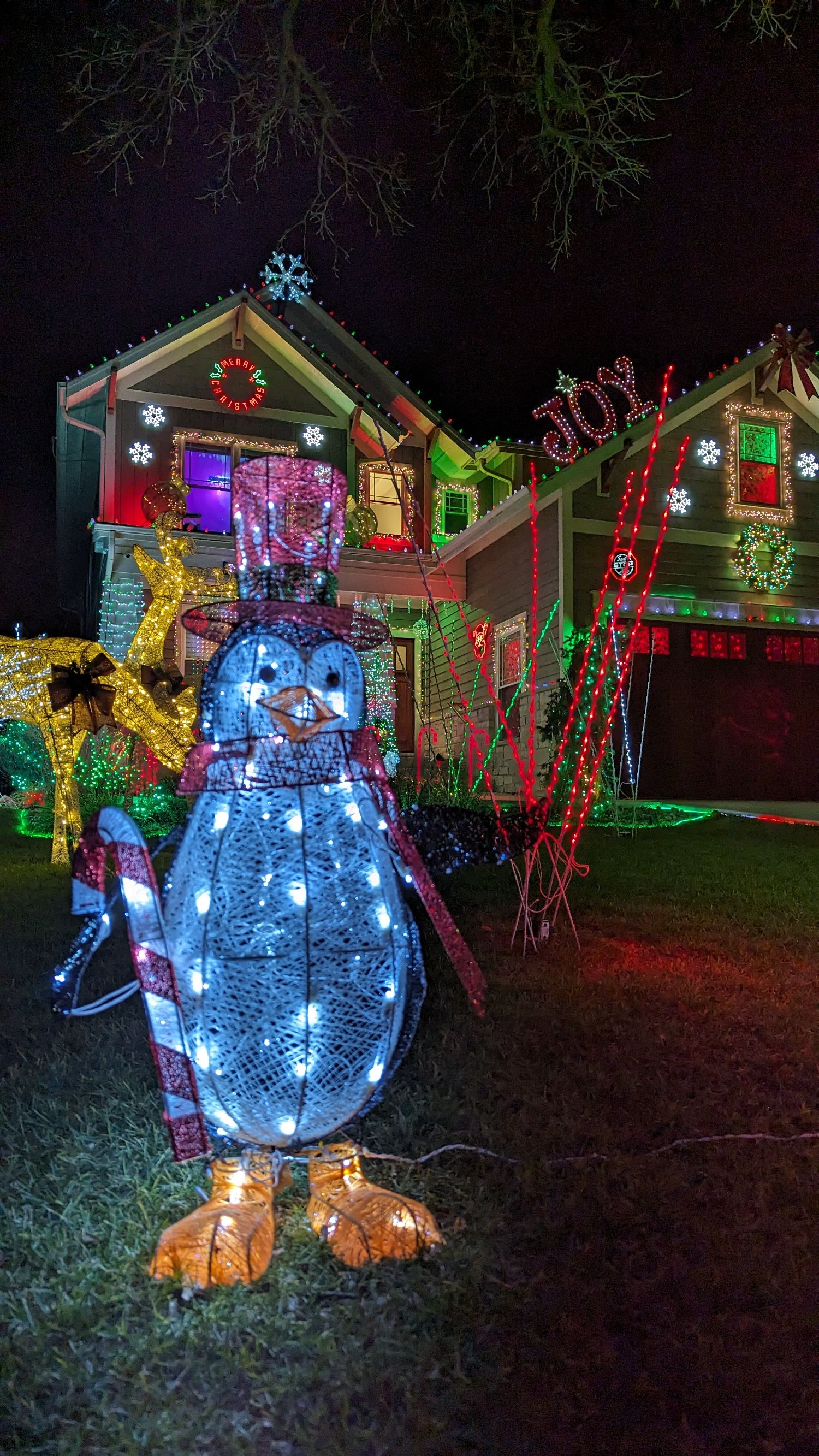 Woodland AMC1 Lights, Christmas lights in Lombard, IL (photo 3)