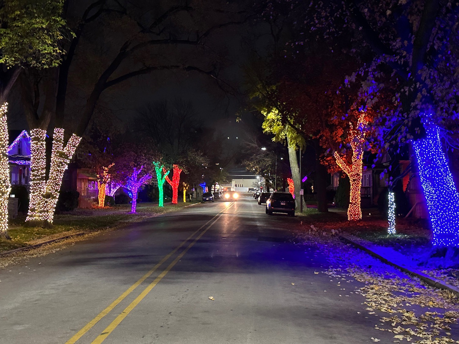Beloit Ave Neighbors, Christmas lights in Forest Park, IL (photo 2)