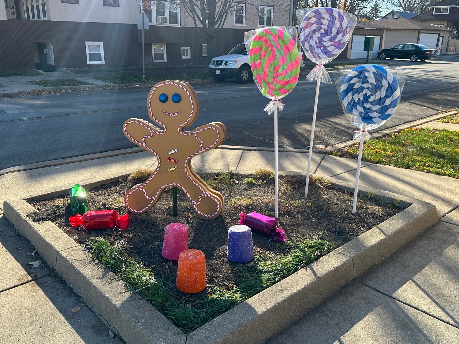 Candyland, Christmas lights in Forest Park, IL (photo 4)
