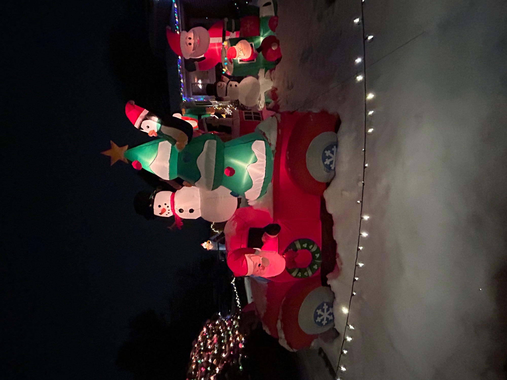 Shining Lights Christmas Display, Christmas lights in Arvada, CO (photo 2)