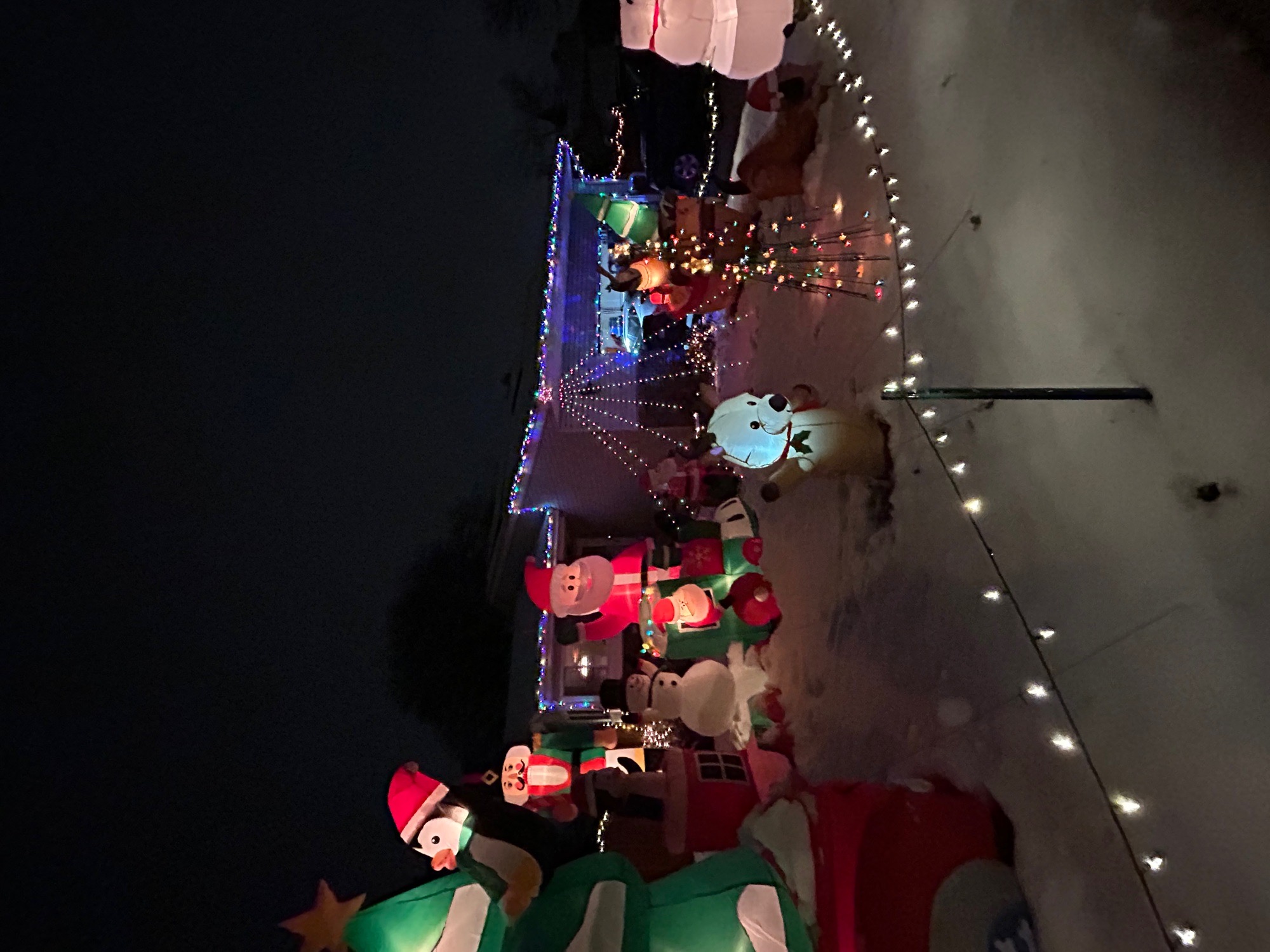 Shining Lights Christmas Display, Christmas lights in Arvada, CO (photo 3)
