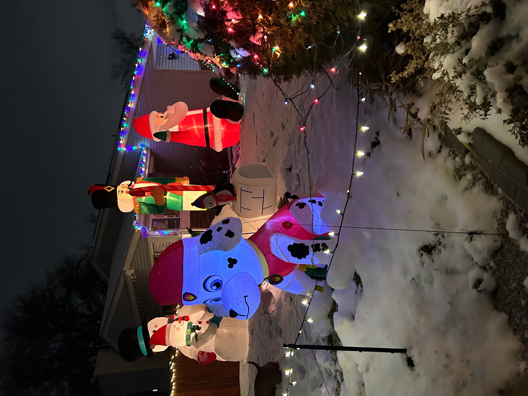 Shining Lights Christmas Display, Christmas lights in Arvada, CO (photo 5)