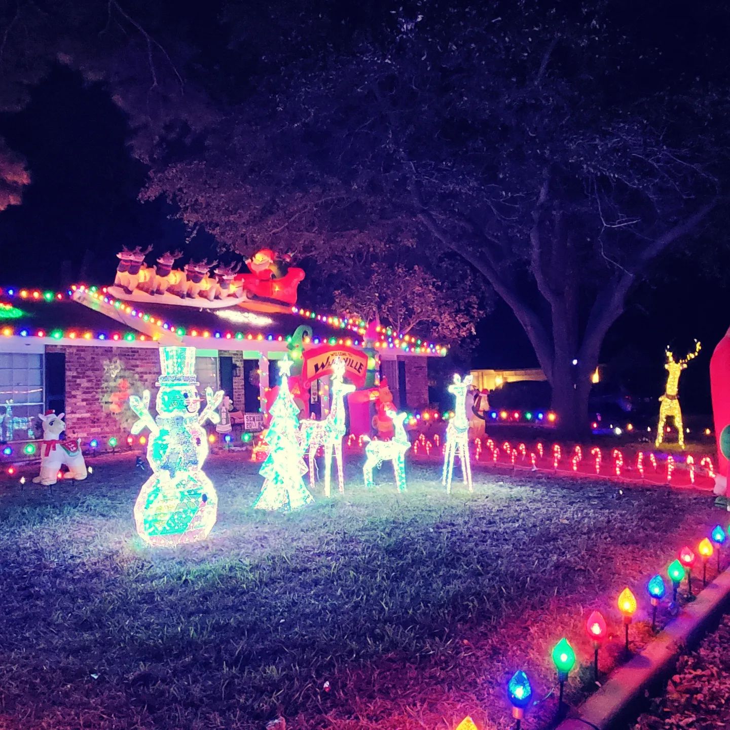 Hastings Holiday Drive, Christmas lights in Arlington, TX (photo 4)