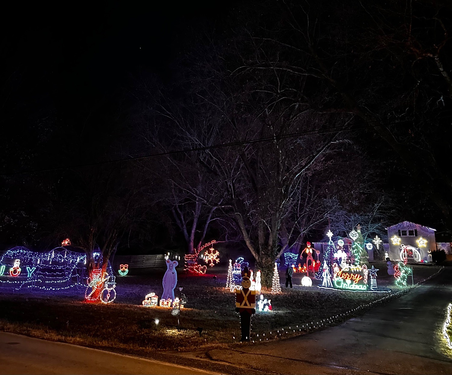 Snook Christmas Display, Christmas lights in Springfield, MO (photo 1)