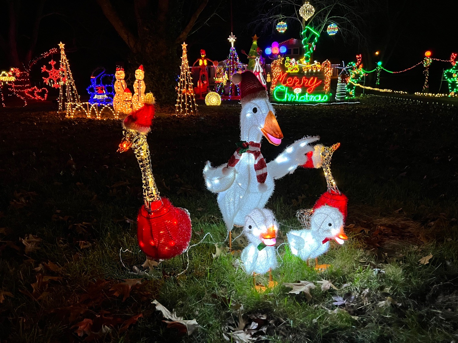 Snook Christmas Display, Christmas lights in Springfield, MO (photo 2)