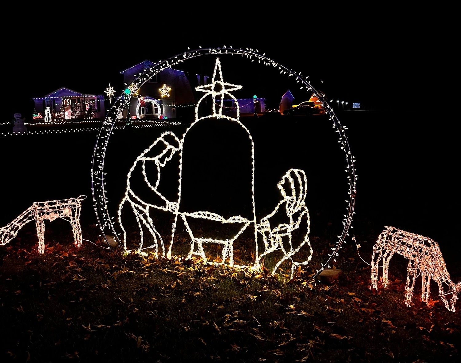 Snook Christmas Display, Christmas lights in Springfield, MO (photo 3)