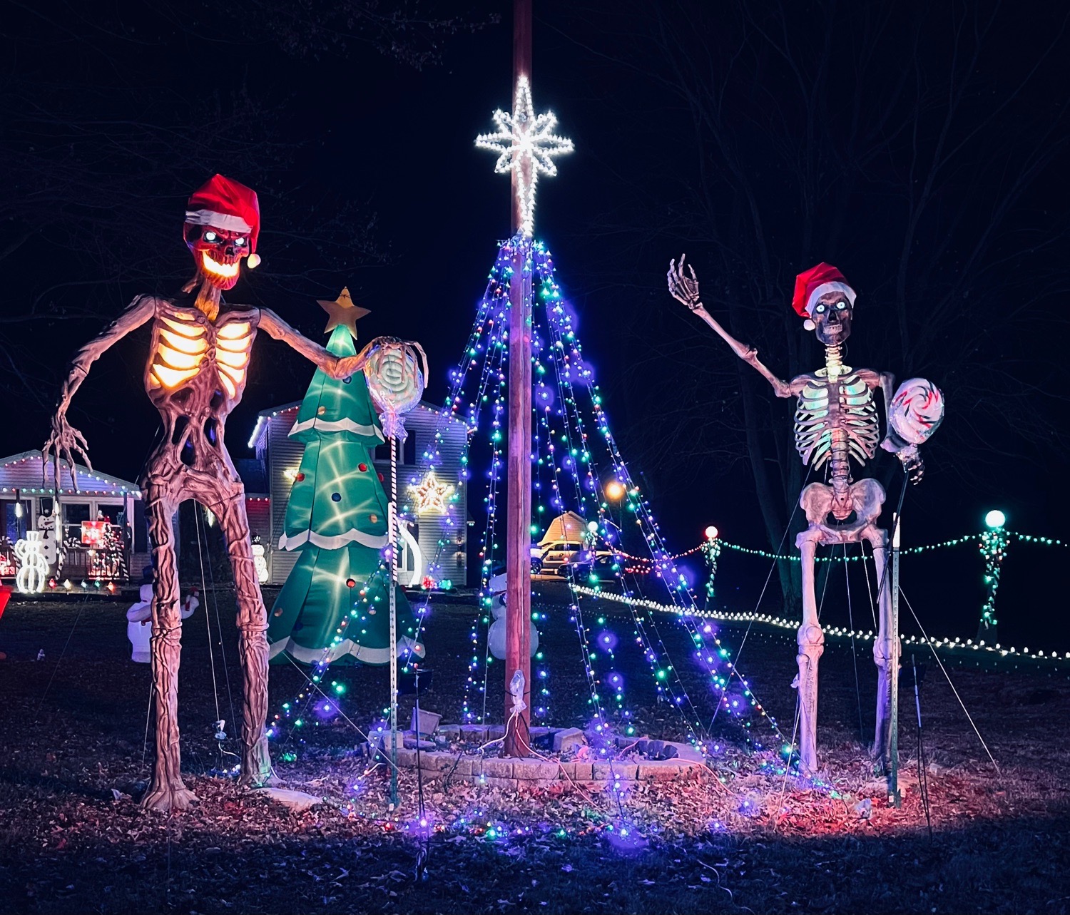 Snook Christmas Display, Christmas lights in Springfield, MO (photo 5)