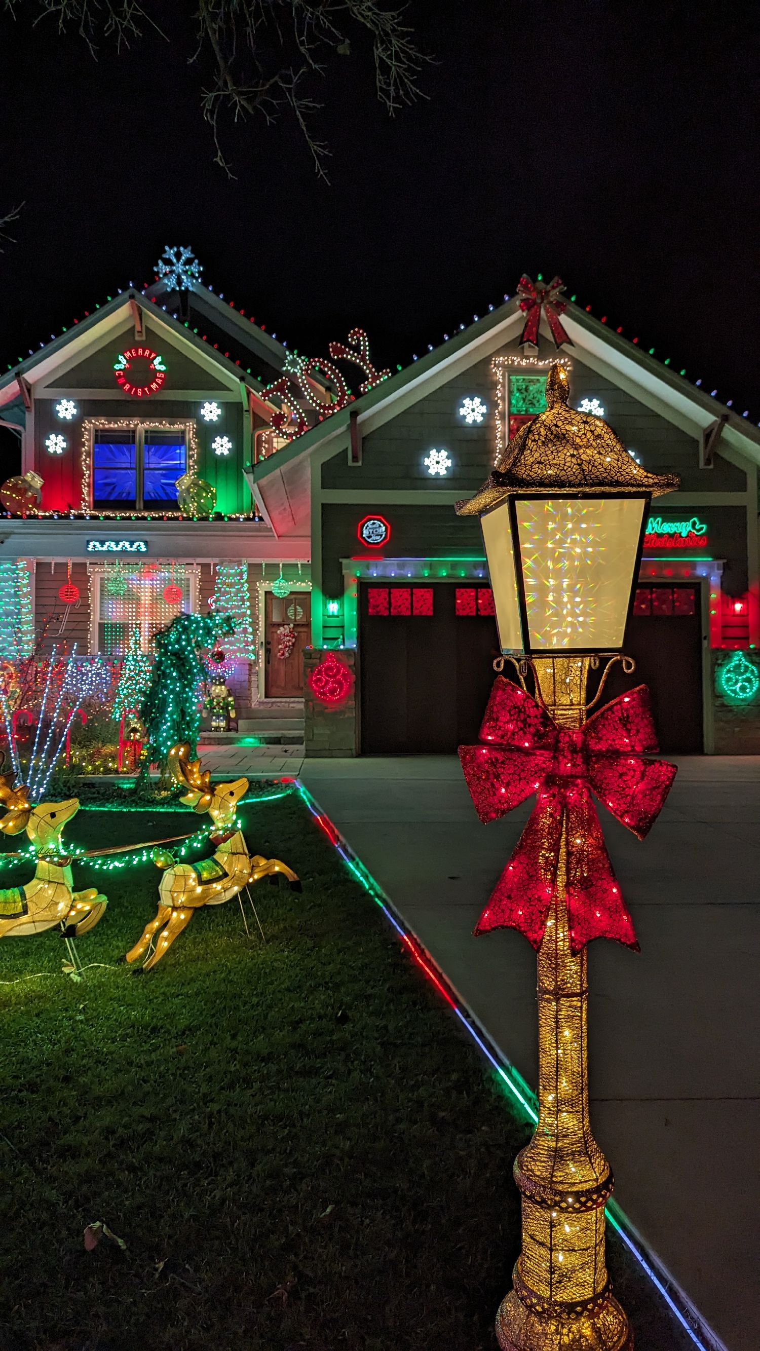 Woodland AMC1 Lights, Christmas lights in Lombard, IL (photo 2)