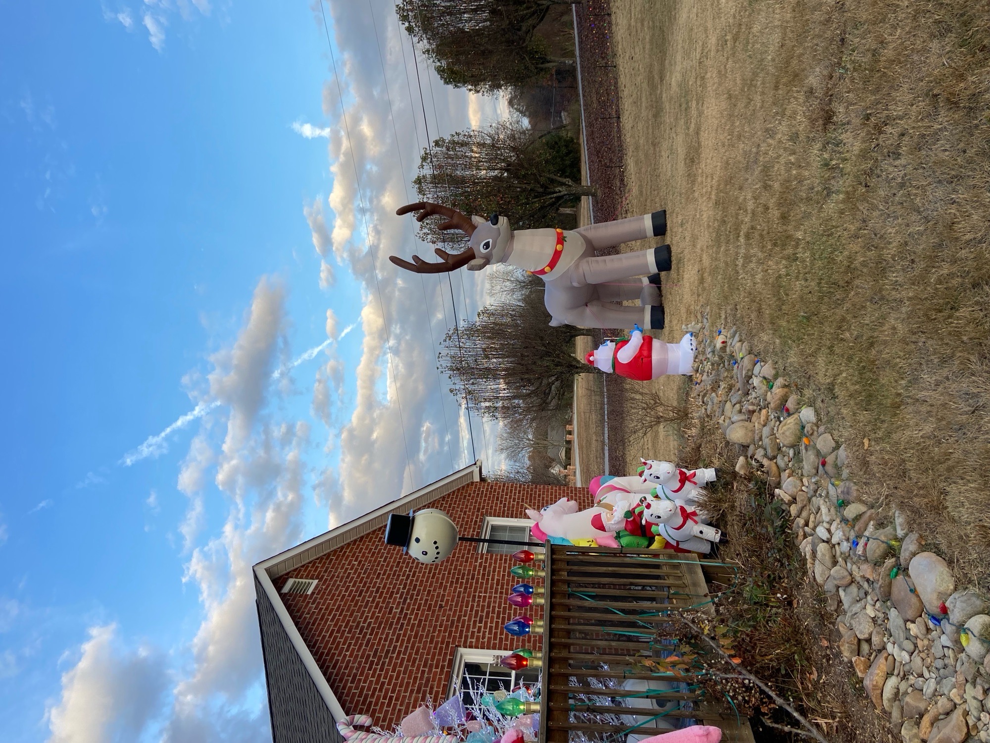 Christmas on Matlock, Christmas lights in Knoxville, TN (photo 3)