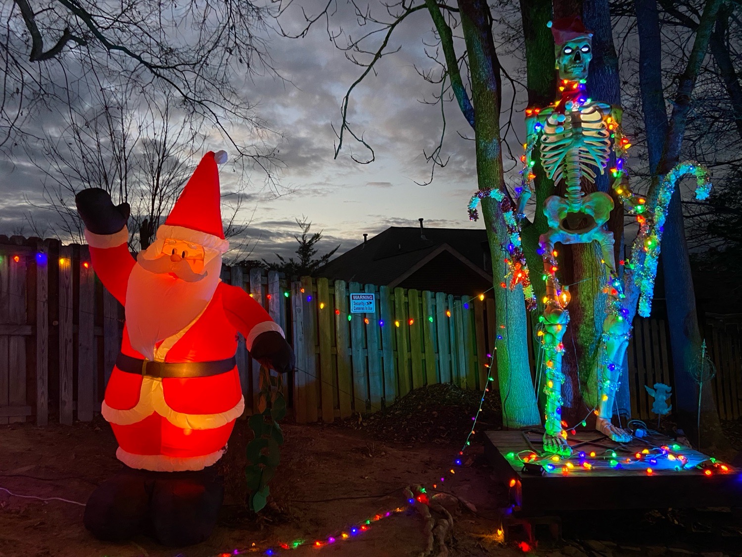 Christmas on Matlock, Christmas lights in Knoxville, TN (photo 5)