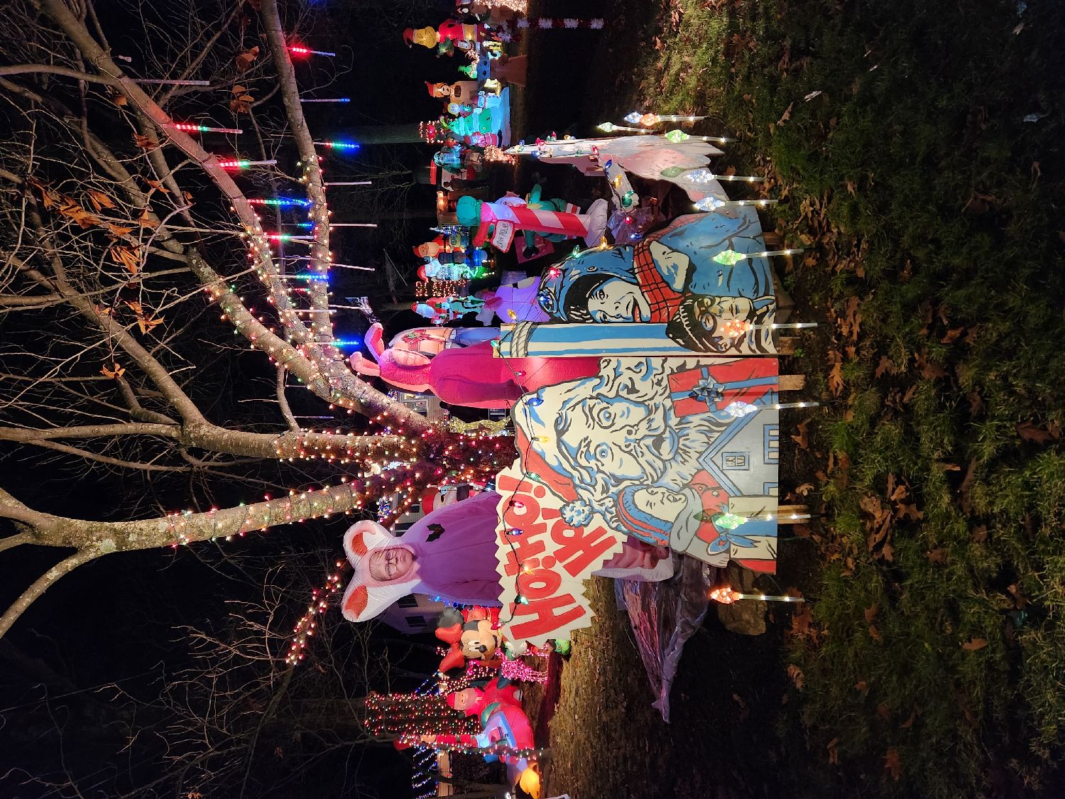 Cossentino Christmas Display 4:30-9:30 weather permitting, Christmas lights in Harleysville, PA (photo 4)