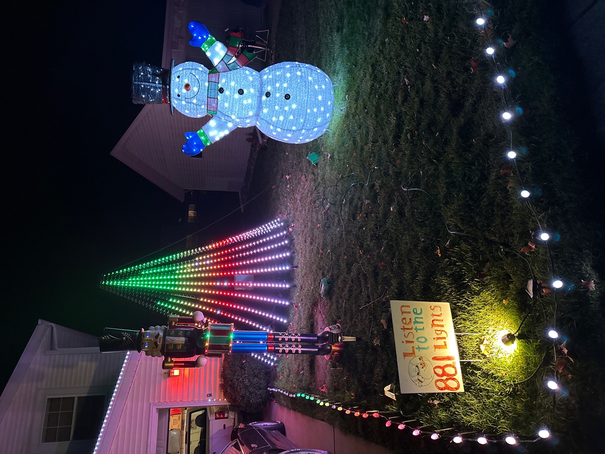 Merry House of Funk, Christmas lights in Edgerton, WI (photo 2)