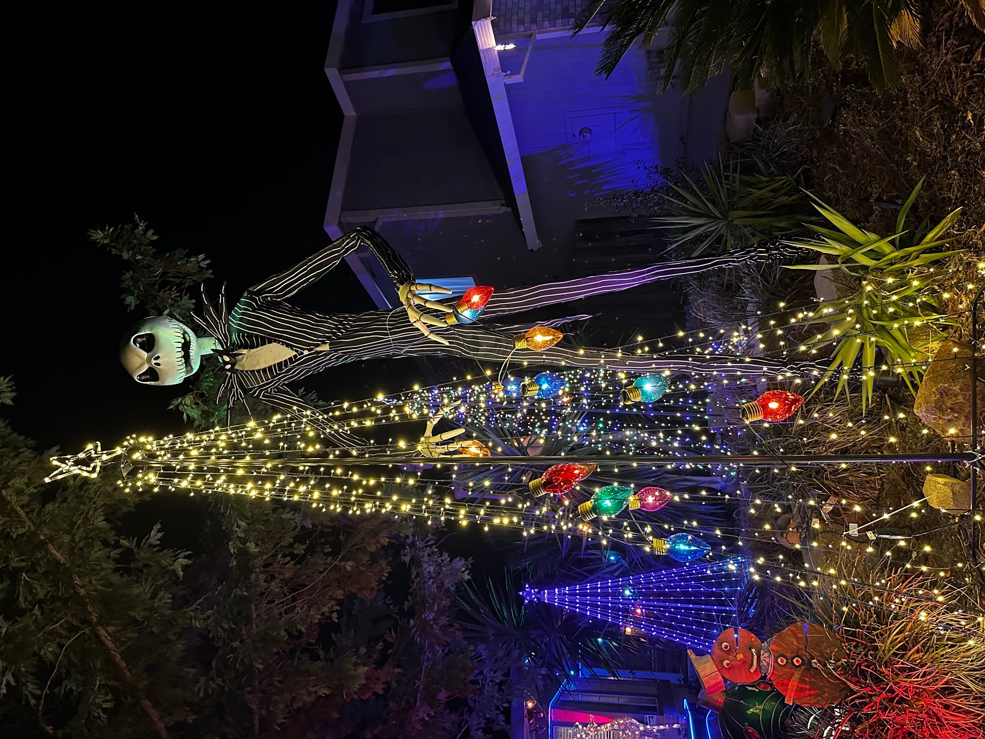 Rock and roll Christmas, Christmas lights in Elk Grove, CA (photo 1)