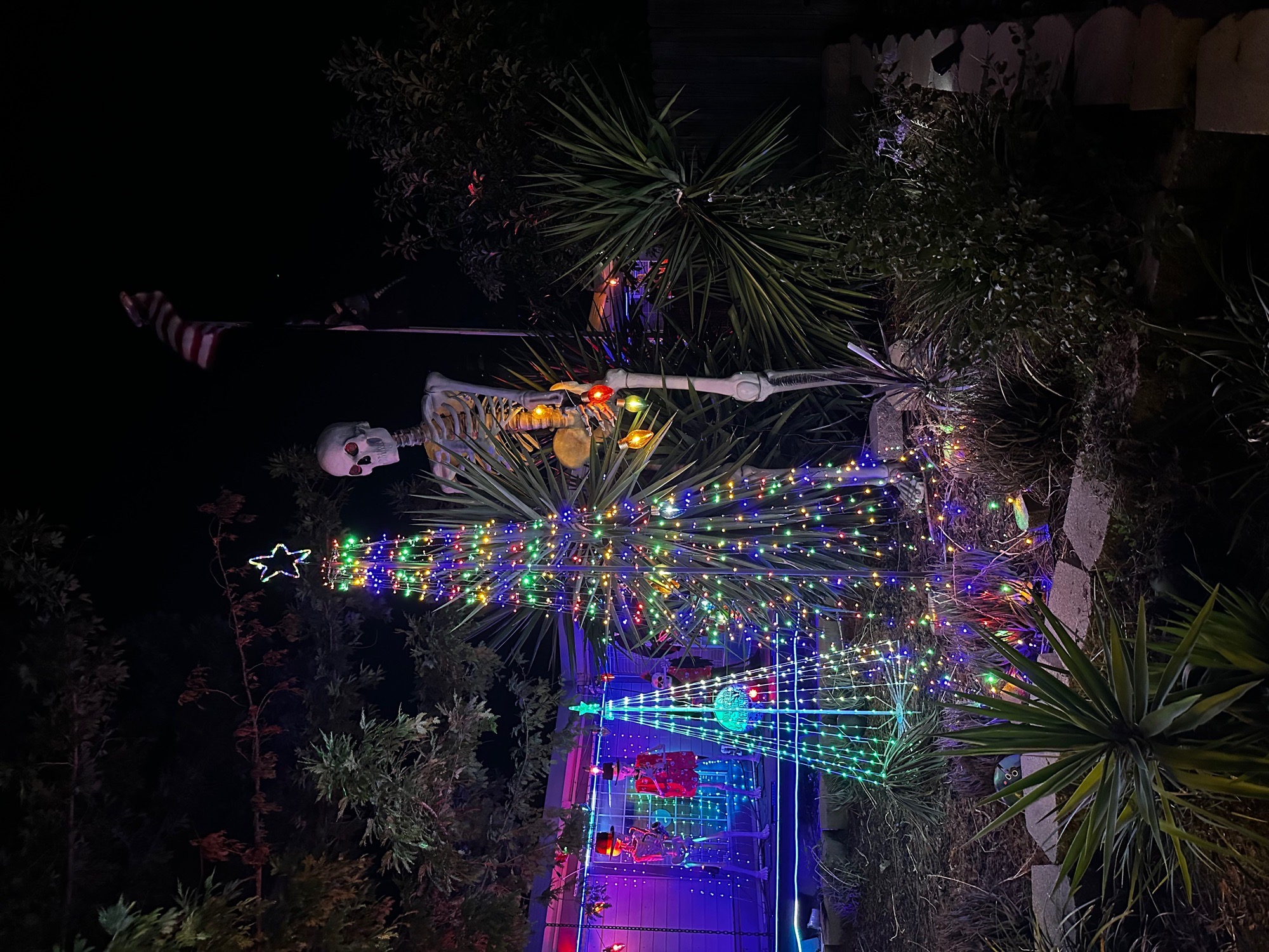 Rock and roll Christmas, Christmas lights in Elk Grove, CA (photo 2)