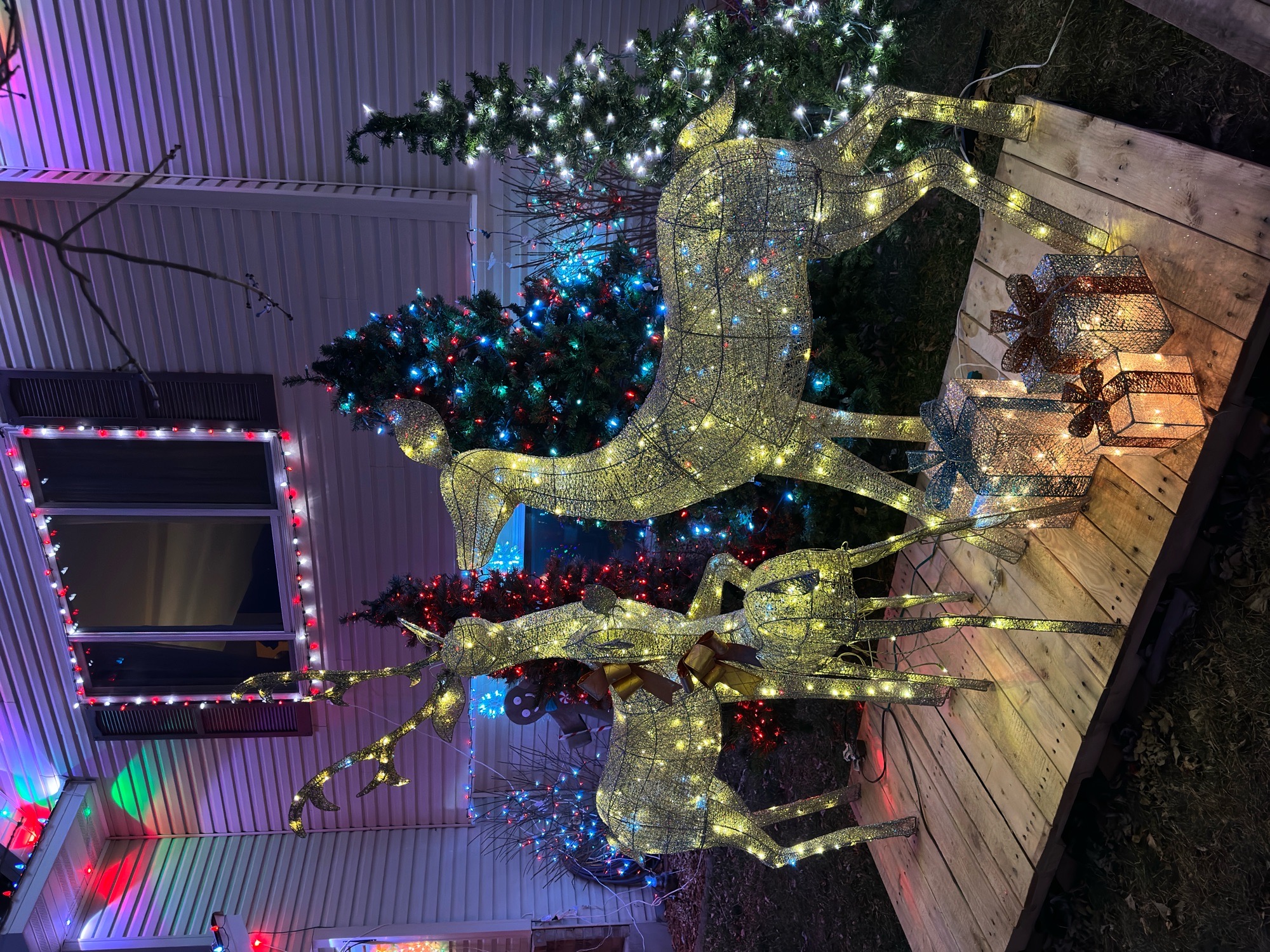 Setzerville Setzer family Christmas, Christmas lights in North Branch, MN (photo 2)