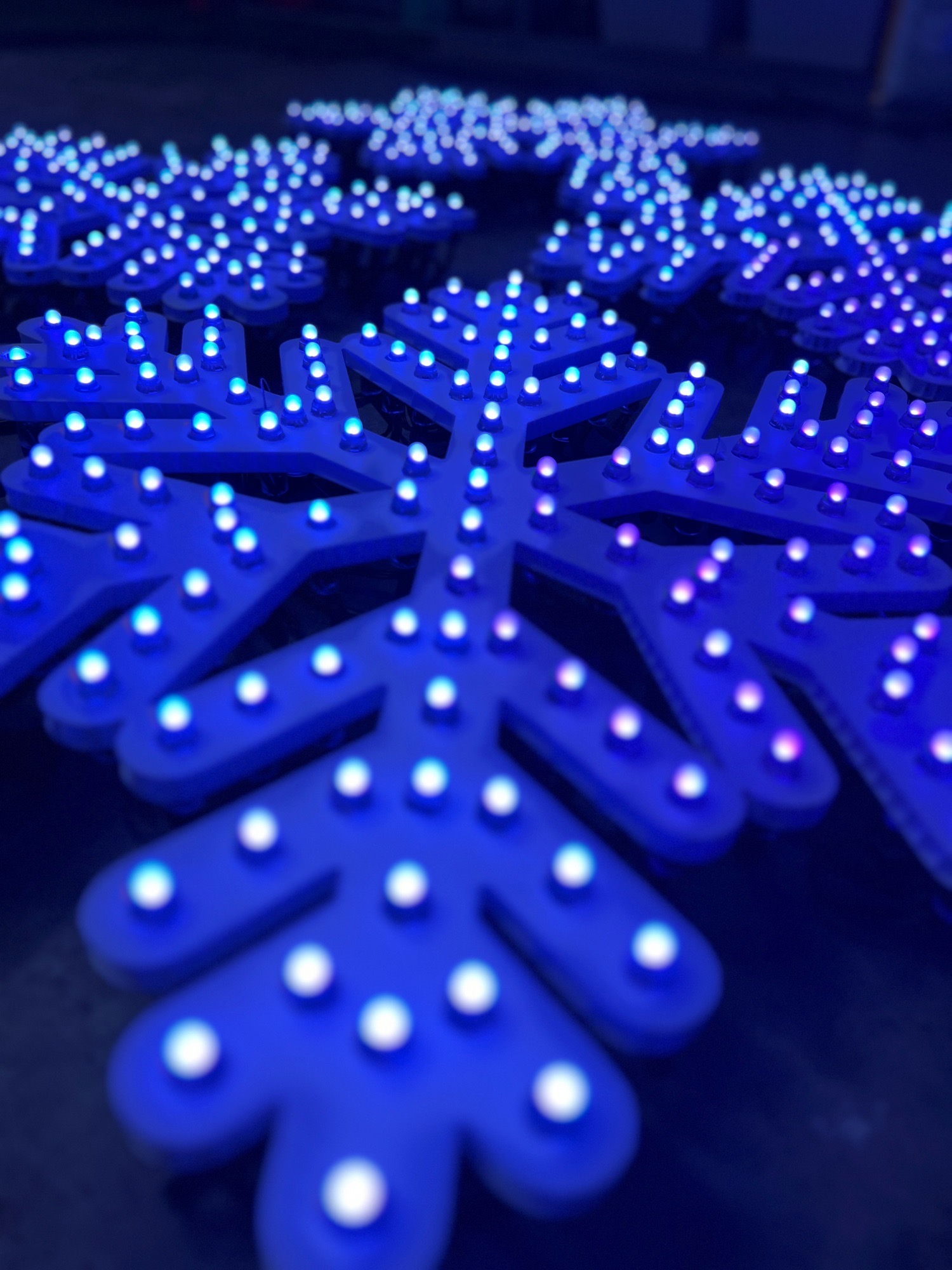 Lights on Beartooth Trail, Christmas lights in Ponte Vedra, FL (photo 1)