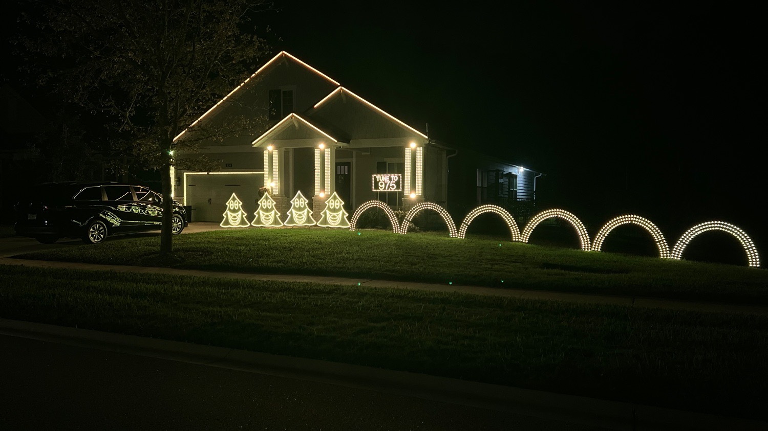 Lights on Beartooth Trail, Christmas lights in Ponte Vedra, FL (photo 2)