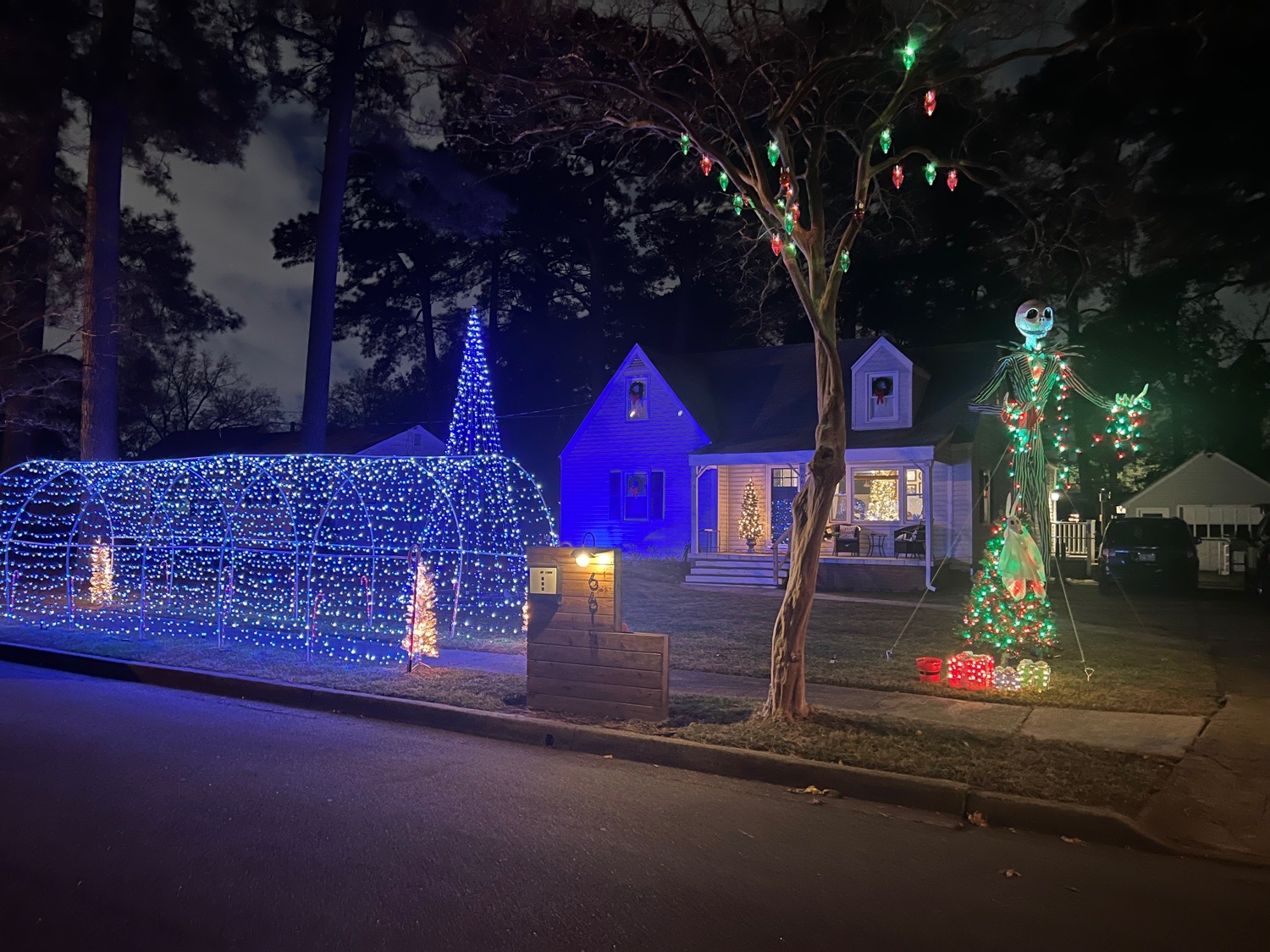 Winter Wonderland, Christmas lights in Norfolk, VA (photo 1)