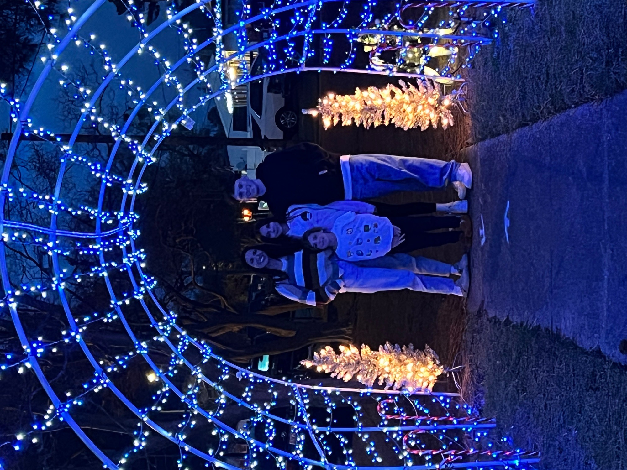 Winter Wonderland, Christmas lights in Norfolk, VA (photo 2)