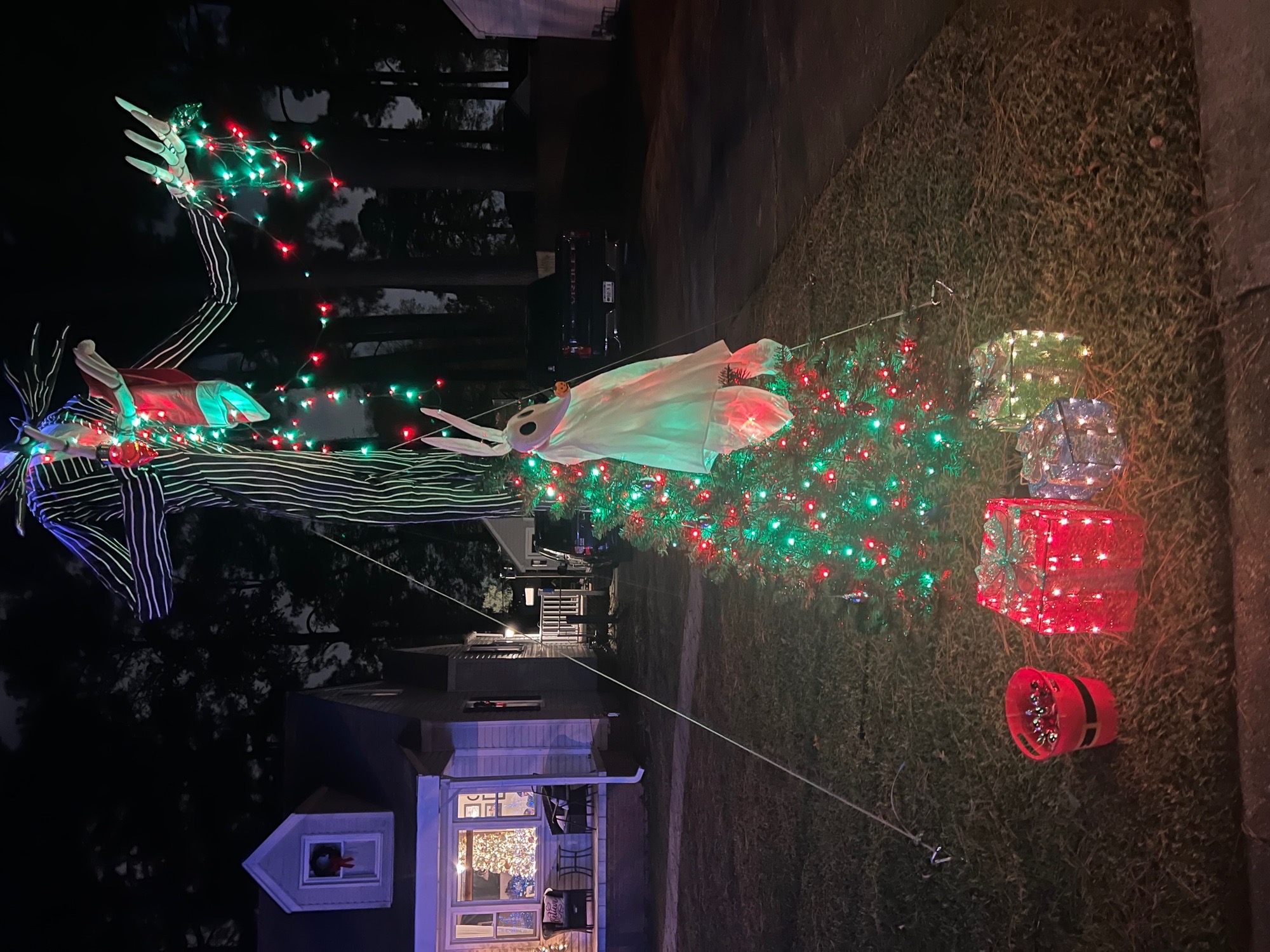 Winter Wonderland, Christmas lights in Norfolk, VA (photo 3)