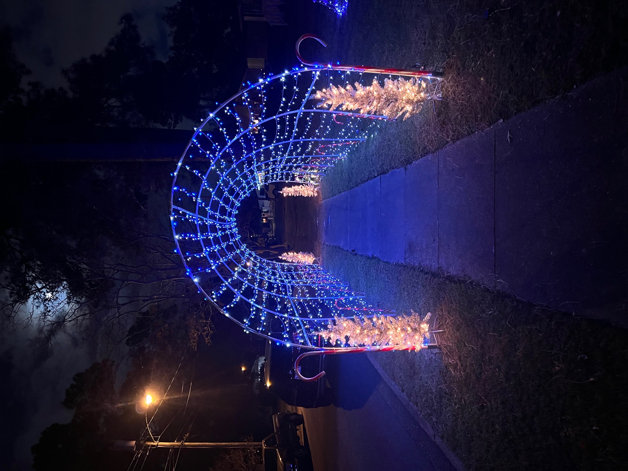 Winter Wonderland, Christmas lights in Norfolk, VA (photo 4)