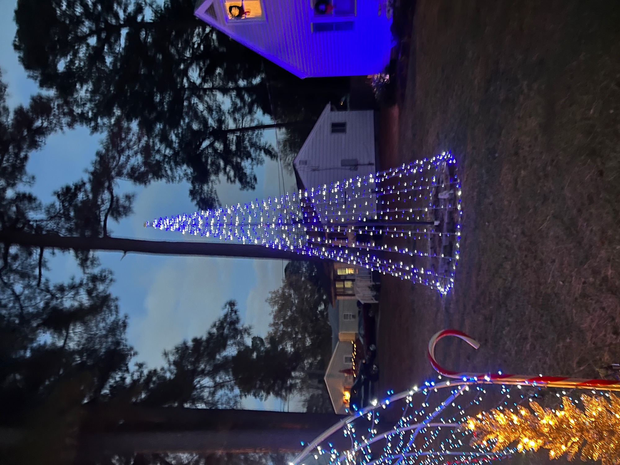 Winter Wonderland, Christmas lights in Norfolk, VA (photo 5)