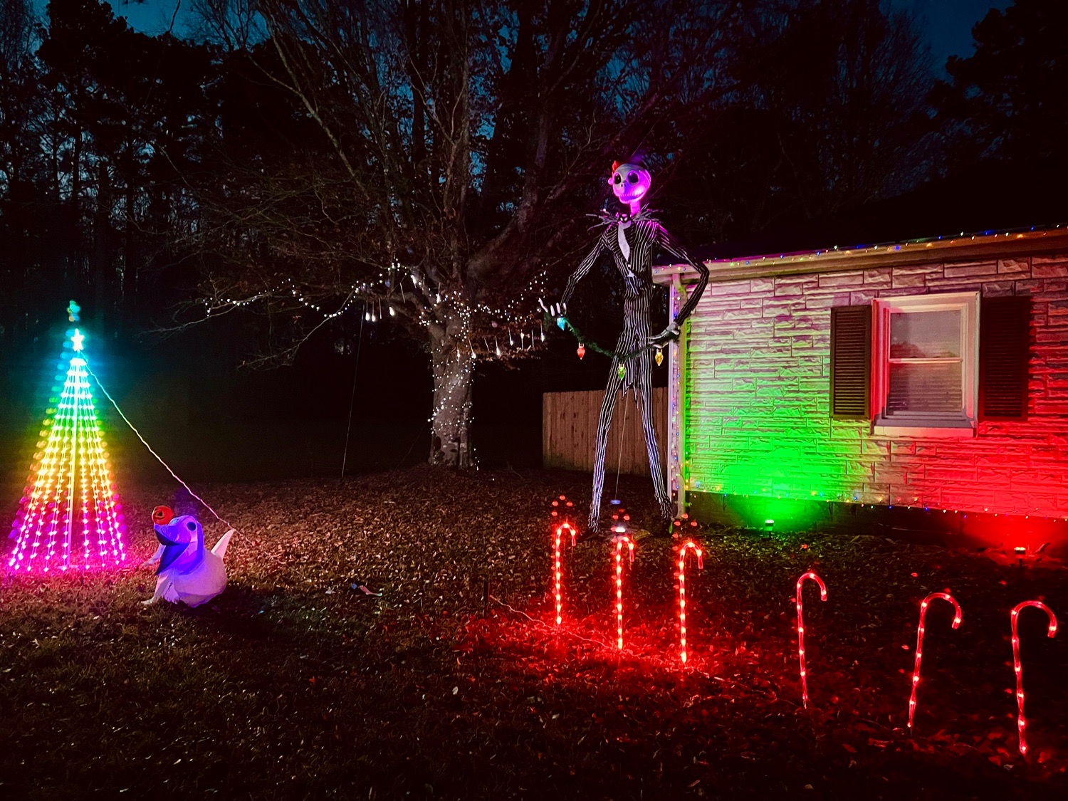 Jacks Christmas Town, Christmas lights in Suffolk, VA (photo 2)