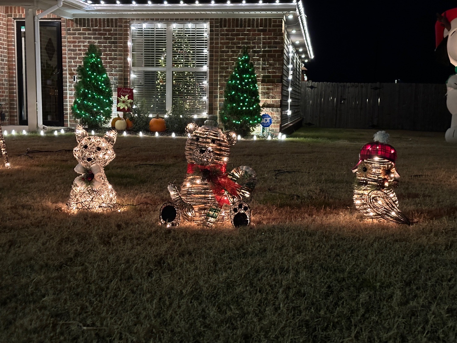 Deerfield, Christmas lights in Jonesboro, AR (photo 4)