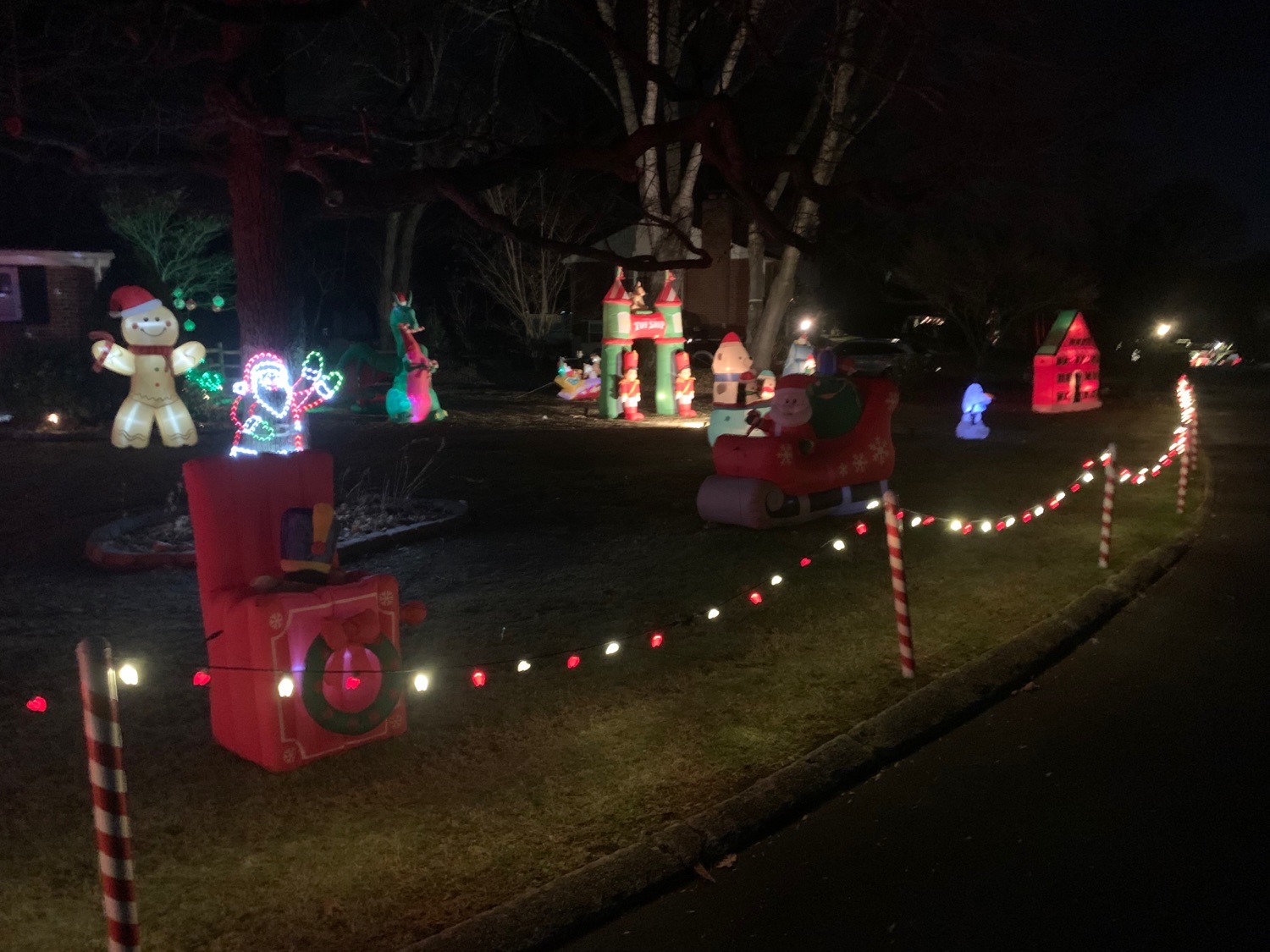 Inflatable Christmas, Christmas lights in Media, PA (photo 2)