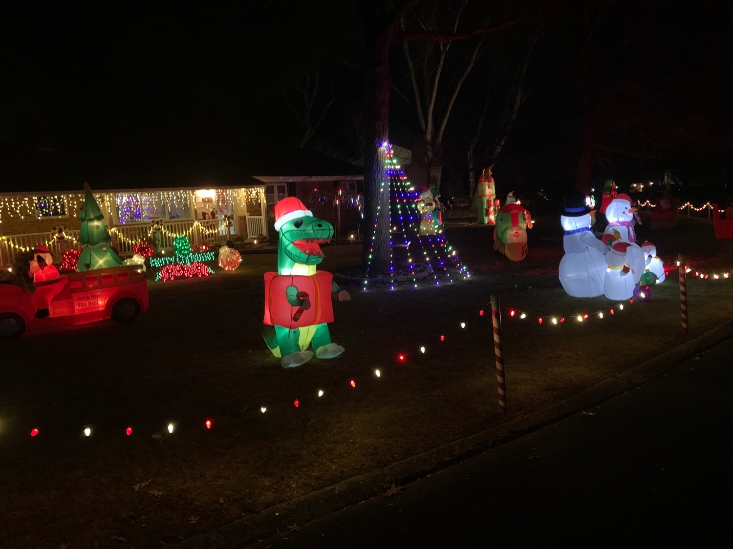 Inflatable Christmas, Christmas lights in Media, PA (photo 3)