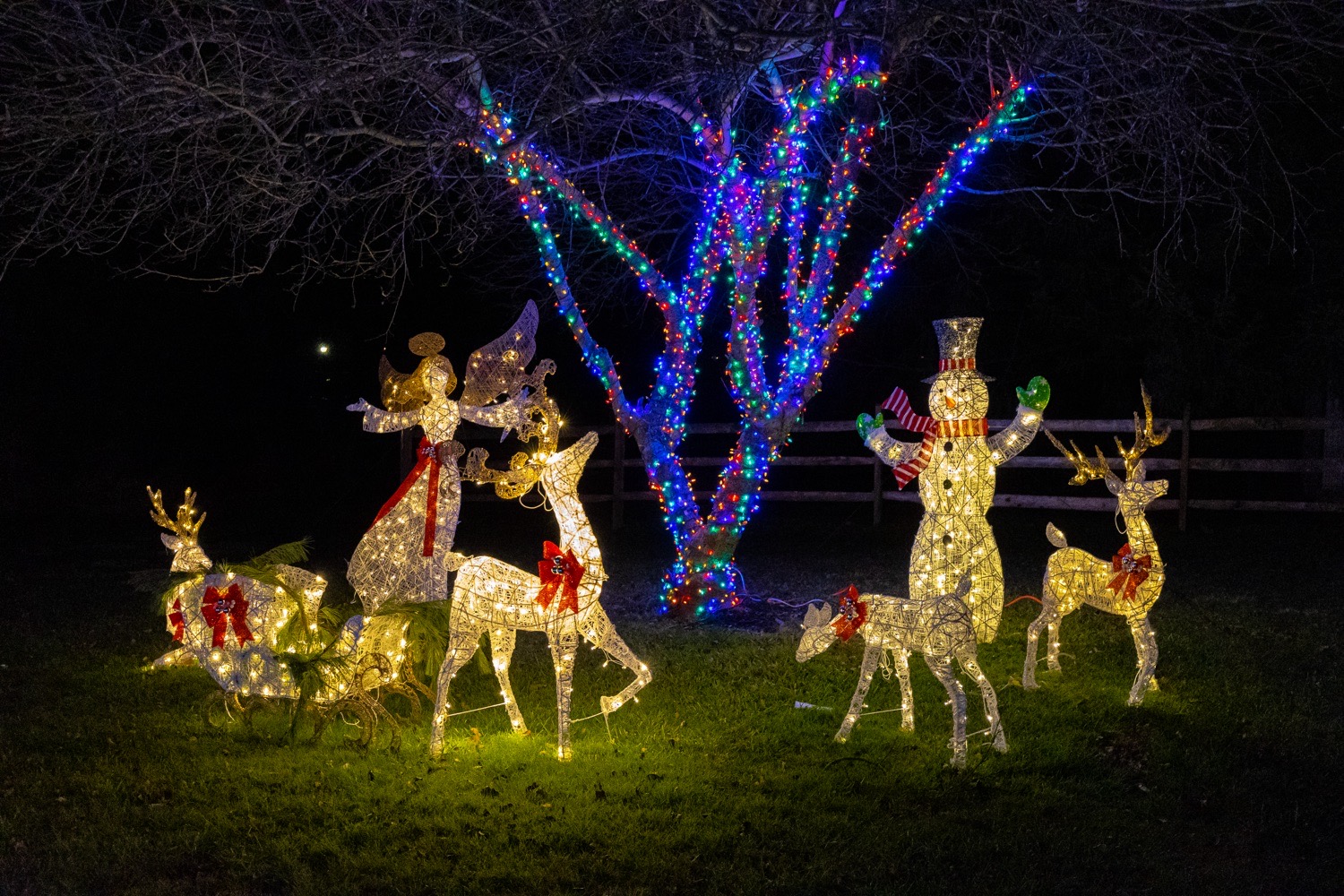 West Chester Christmas Light Display, Christmas lights in West Chester, PA (photo 4)