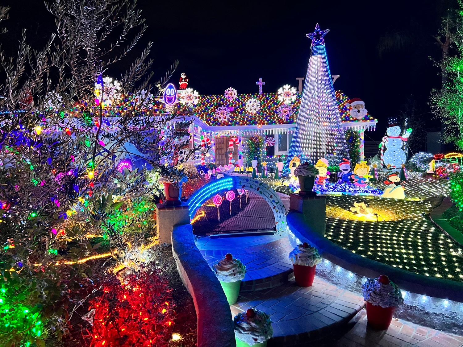Palusso Family Lights, Christmas lights in Carlsbad, CA (photo 2)
