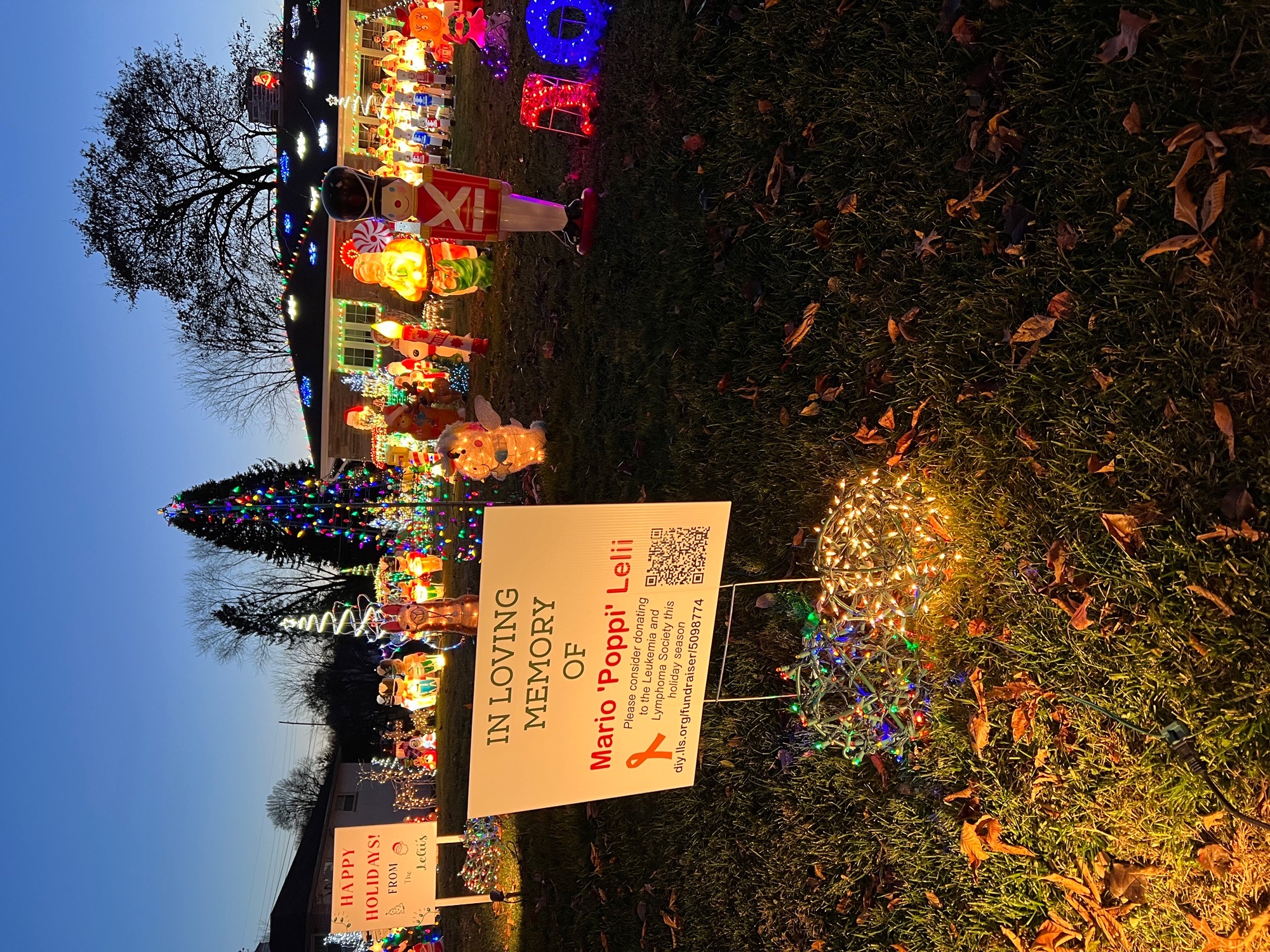 Lelii Holiday Lights, Christmas lights in West Chester, PA (photo 3)