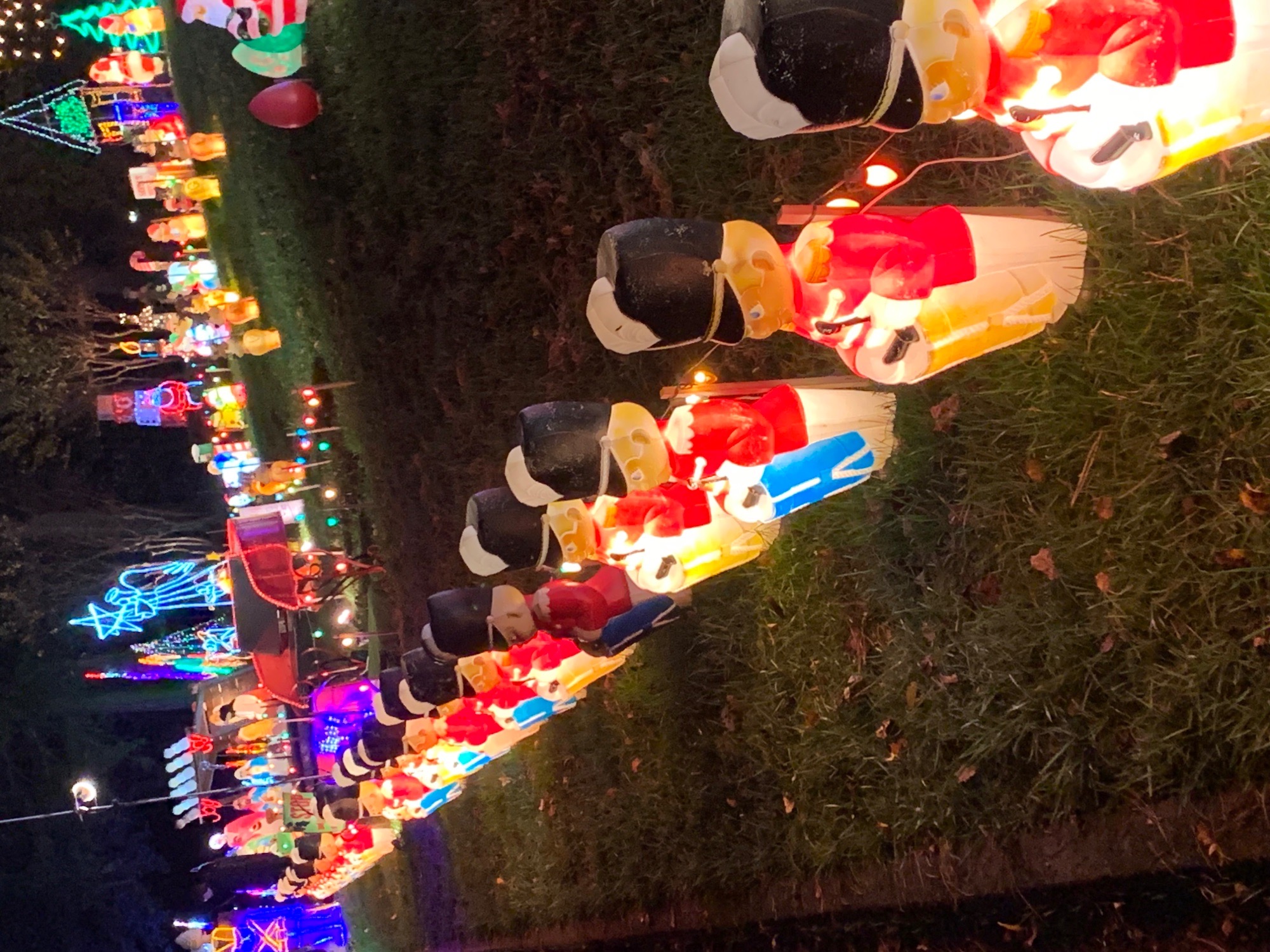 A Whole Lot of Christmas, Christmas lights in Stone Mountain, GA (photo 4)