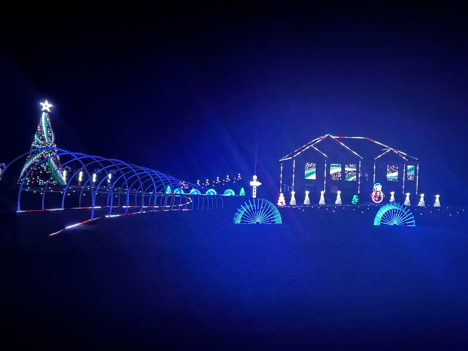 Lights on Tinsley, Christmas lights in Senoia, GA (photo 1)