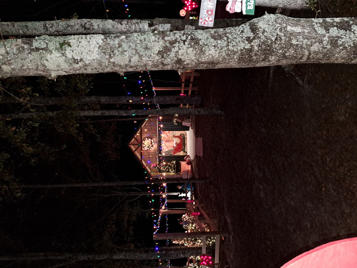 Christmas in Ansley, Christmas lights in Troy, AL (photo 1)