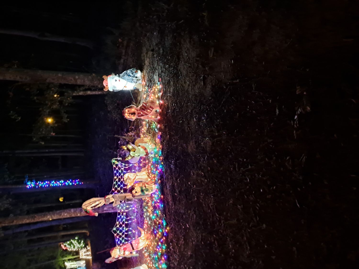 Christmas in Ansley, Christmas lights in Troy, AL (photo 2)