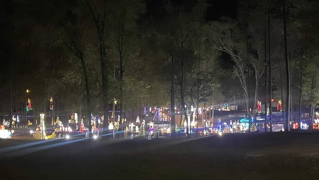 Christmas in Ansley, Christmas lights in Troy, AL (photo 4)