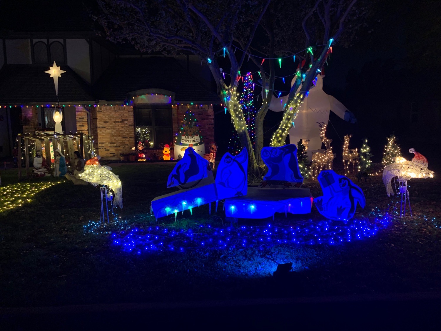 An Autry Christmas, Christmas lights in Grand Prairie, TX (photo 2)