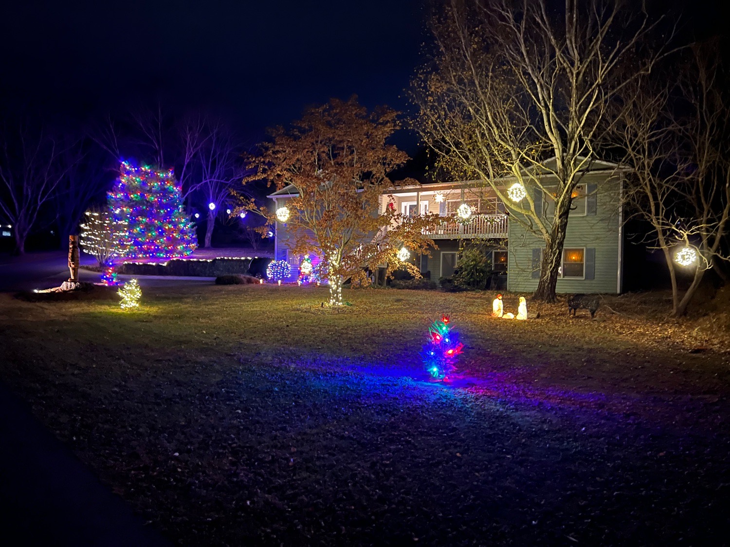 home lights, Christmas lights in Black Mountain, NC (photo 2)