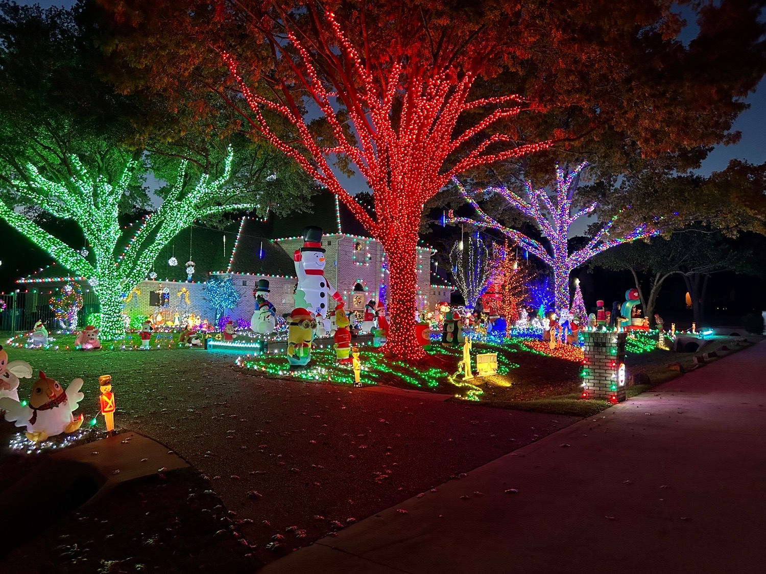 Dolf Christmas Lights, Christmas lights in Flower Mound, TX (photo 1)