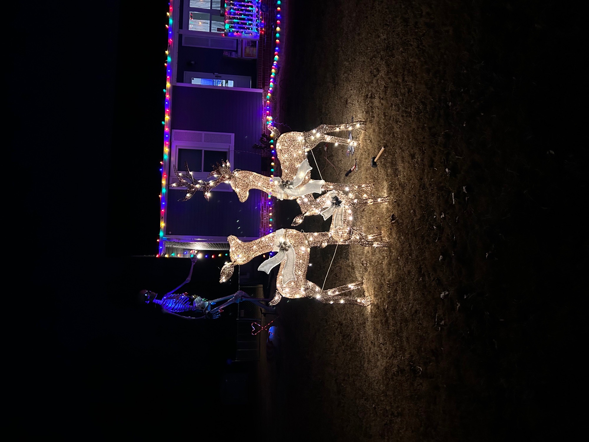 Skelly Claus’s Light Display, Christmas lights in Ringgold, GA (photo 3)