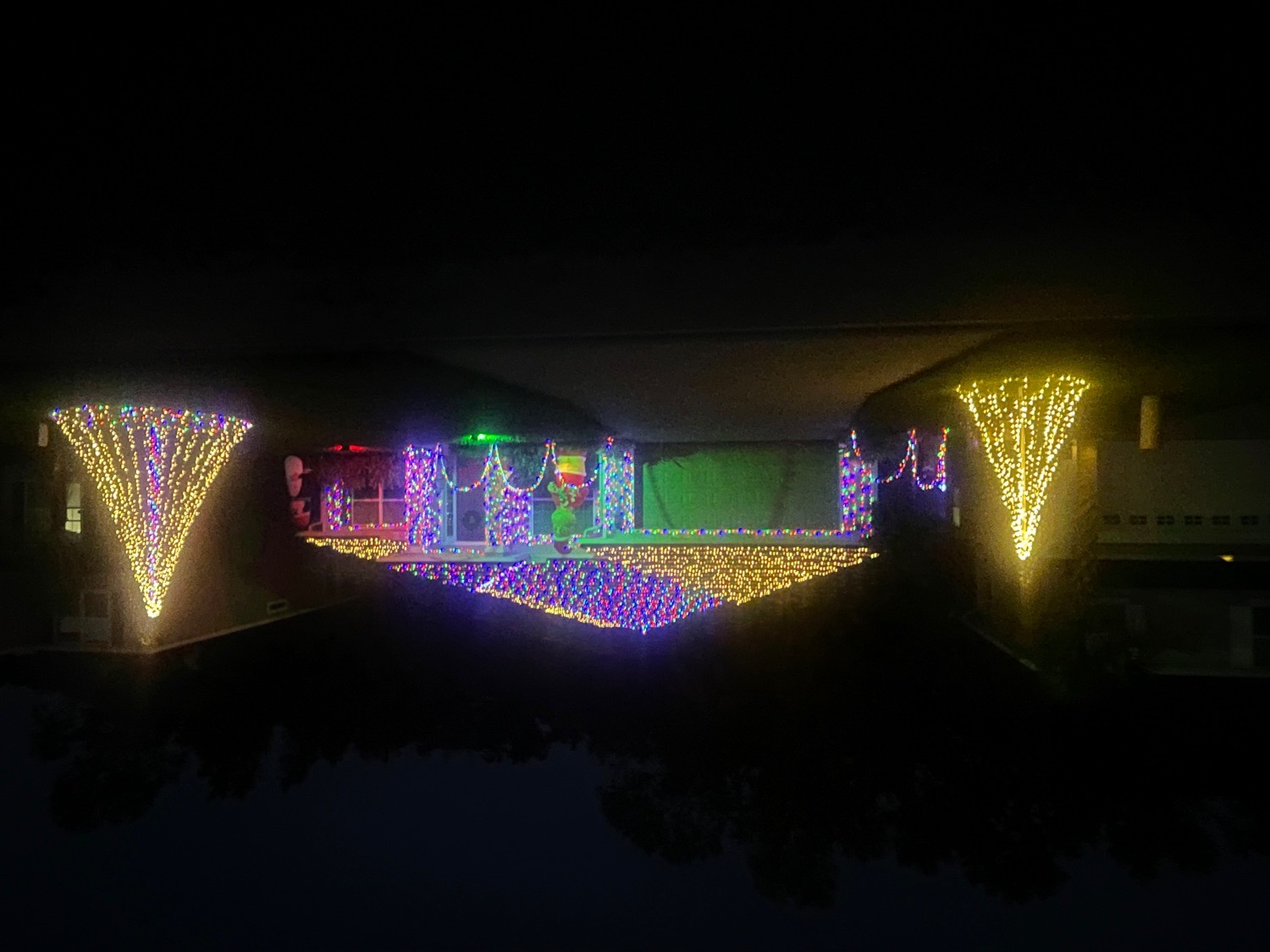 The grinch house, Christmas lights in Jacksonville, FL (photo 1)