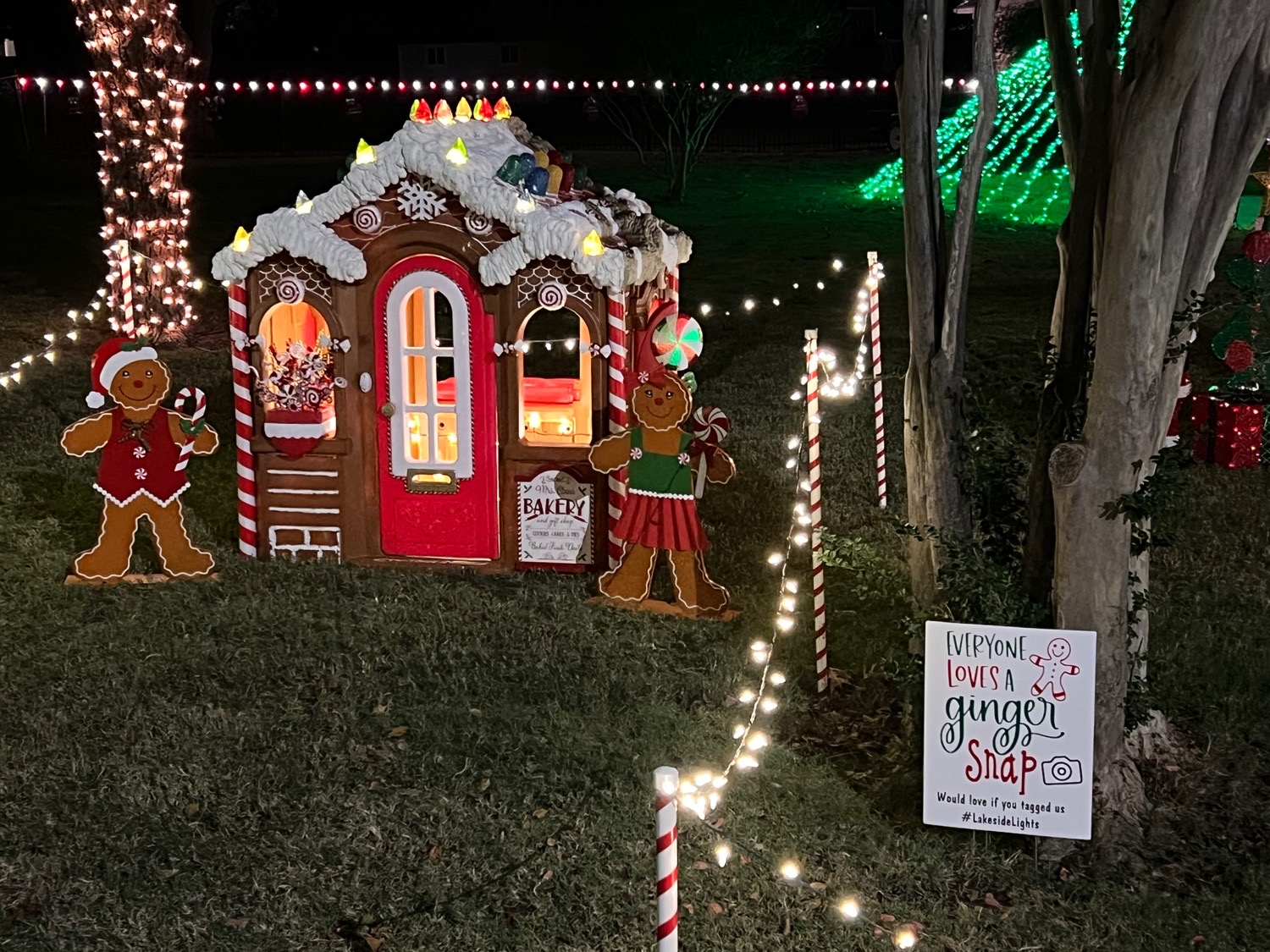 Lakeside Lights, Christmas lights in Ennis, TX (photo 3)