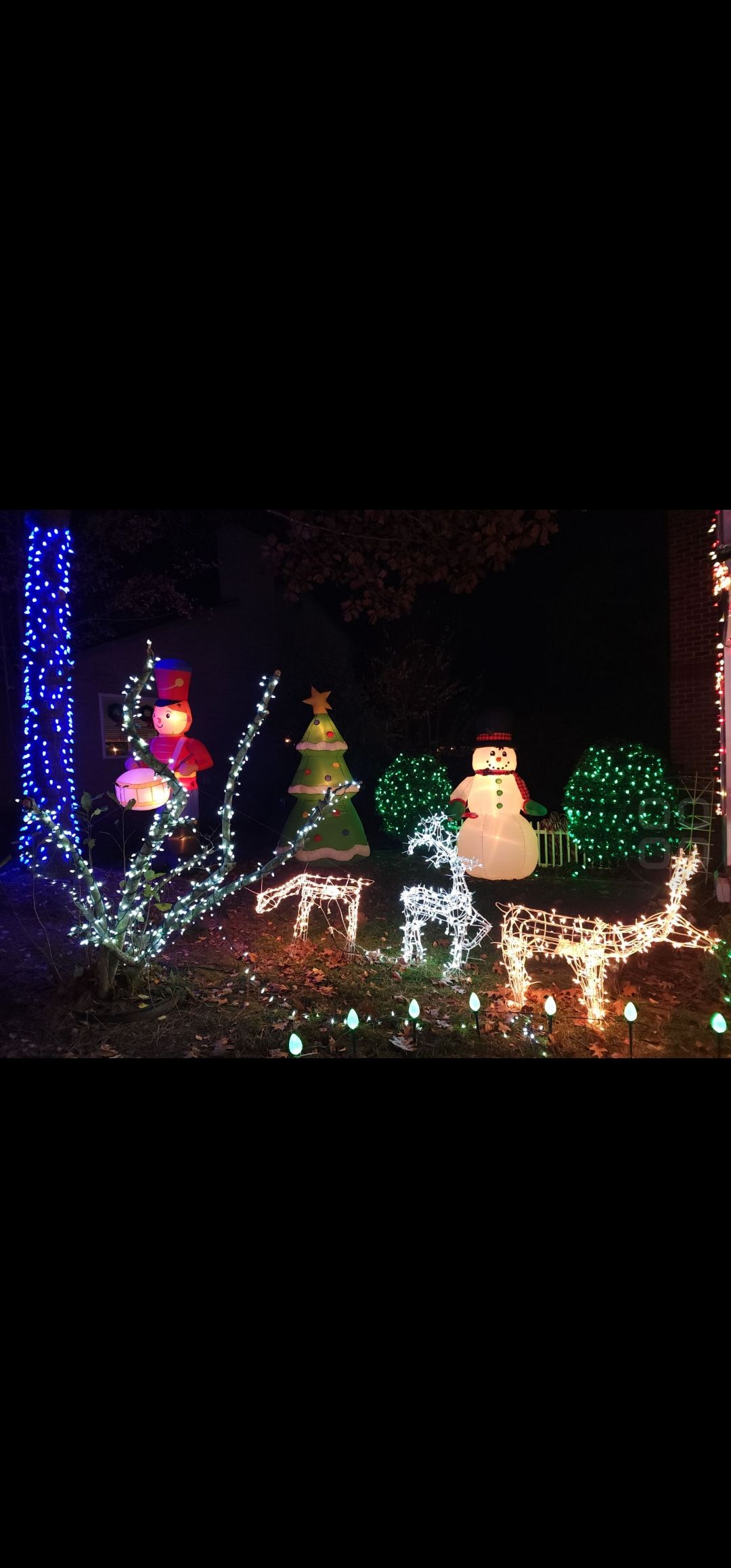 Winter Wonderland, Christmas lights in Mechanicsville, VA (photo 2)