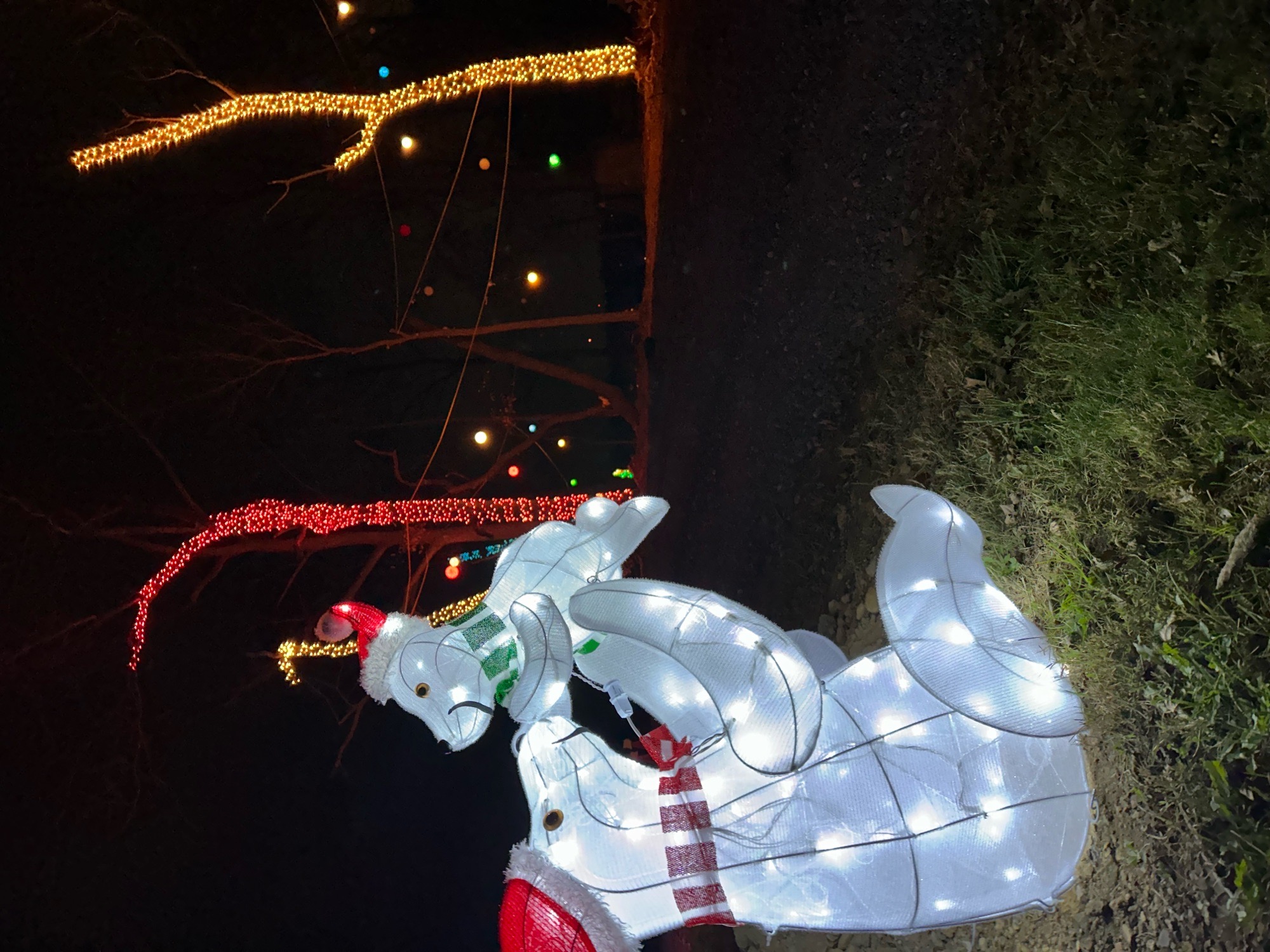Holiday Light Show at Yeager’s Farm, Christmas lights in Phoenixville, PA (photo 2)