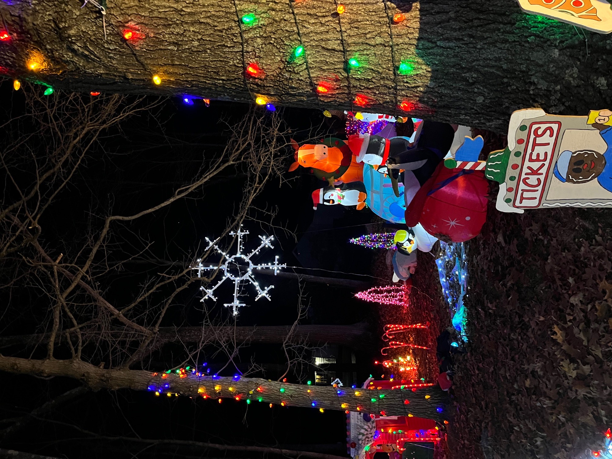 Lights on Moose hill, Christmas lights in Monroe, CT (photo 5)